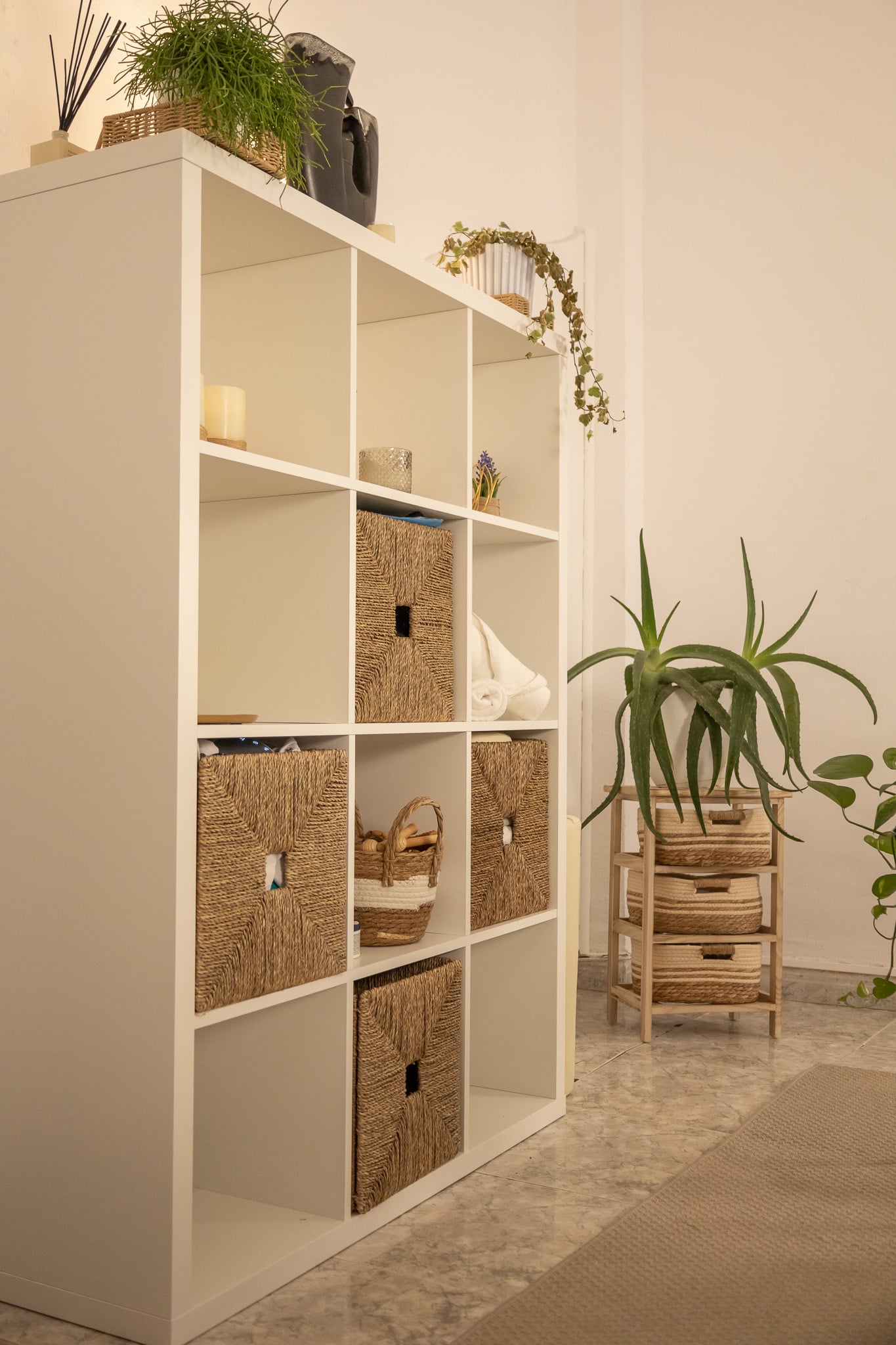 Estantería con cestas y plantas en la cabina